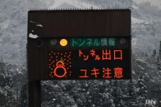 180819_10.jpg  : 43 KB
