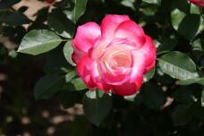 180839_2.jpg  : 93 KB