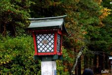 180843_5.jpg  : 49 KB