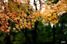 180857_5.jpg  : 38 KB
