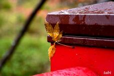 180875_10.jpg  : 48 KB