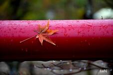 180875_9.jpg  : 48 KB