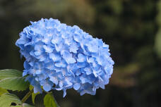 180917_1.jpg  : 147 KB