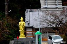 180938_1.jpg  : 45 KB