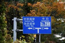 180938_5.jpg  : 55 KB