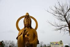 180938_9.jpg  : 49 KB