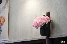 180950_5.jpg  : 56 KB