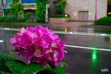 180950_7.jpg  : 56 KB
