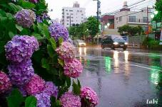 180950_8.jpg  : 96 KB