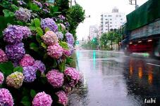 180950_9.jpg  : 89 KB