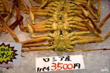 180968_9.jpg  : 55 KB