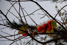 180989_10.jpg  : 65 KB