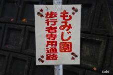 180989_4.jpg  : 44 KB