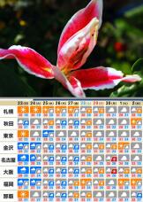 181099_3.jpg  : 190 KB