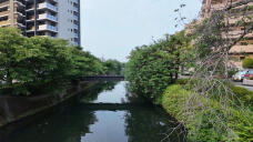 181281_1.jpg  : 213 KB
