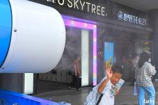 181315_10.jpg  : 52 KB