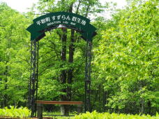 181317_1.jpg  : 126 KB