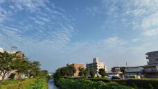 181321_1.jpg  : 129 KB
