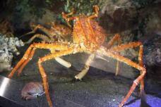 181358_2.jpg  : 134 KB