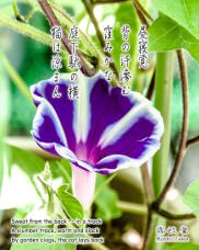 181360_1.jpg  : 221 KB