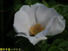 181393_2.jpg  : 25 KB
