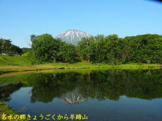 181463_1.jpg  : 58 KB