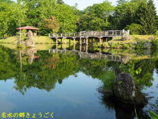 181463_2.jpg  : 97 KB