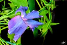 181472_10.jpg  : 35 KB