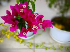 182090_1.jpg  : 83 KB
