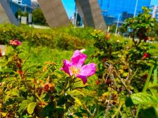 182135_1.jpg  : 164 KB