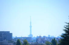 182198_2.jpg  : 29 KB