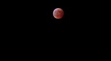 182230_1.jpg  : 24 KB