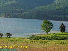 182231_3.jpg  : 65 KB