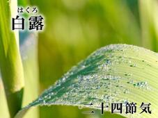 182234_2.jpg  : 76 KB