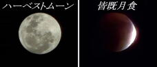 182254_1.jpg  : 30 KB
