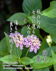 182270_1.jpg  : 220 KB