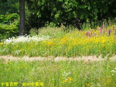 182292_3.jpg  : 112 KB