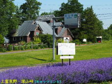 182306_1.jpg  : 103 KB