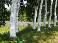182306_3.jpg  : 113 KB