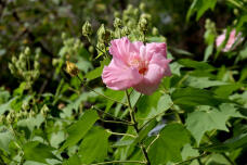 182312_3.jpg  : 132 KB