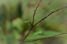 182314_1.jpg  : 72 KB