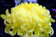 182354_2.jpg  : 52 KB