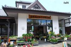 182384_1.jpg  : 63 KB