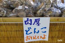 182384_10.jpg  : 61 KB