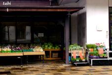 182384_2.jpg  : 54 KB