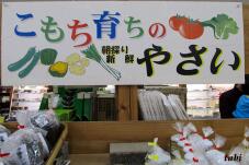 182384_5.jpg  : 64 KB