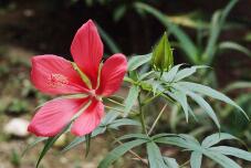 182390_2.jpg  : 66 KB