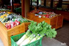 182398_2.jpg  : 61 KB