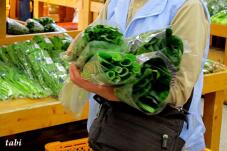 182398_5.jpg  : 51 KB