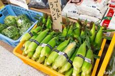 182398_6.jpg  : 87 KB